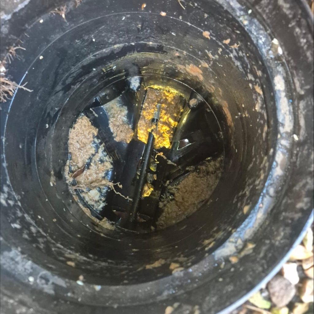 Drain Clearance Leyland