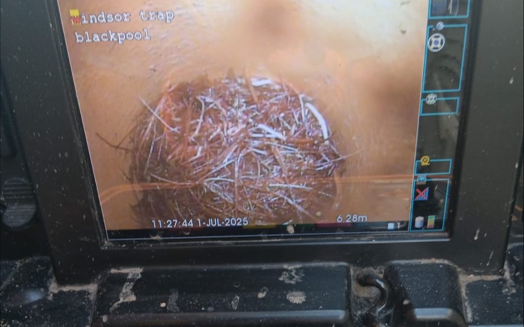 Blocked Drains Longton