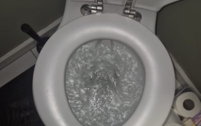 Commercial Blocked Toilet Preston