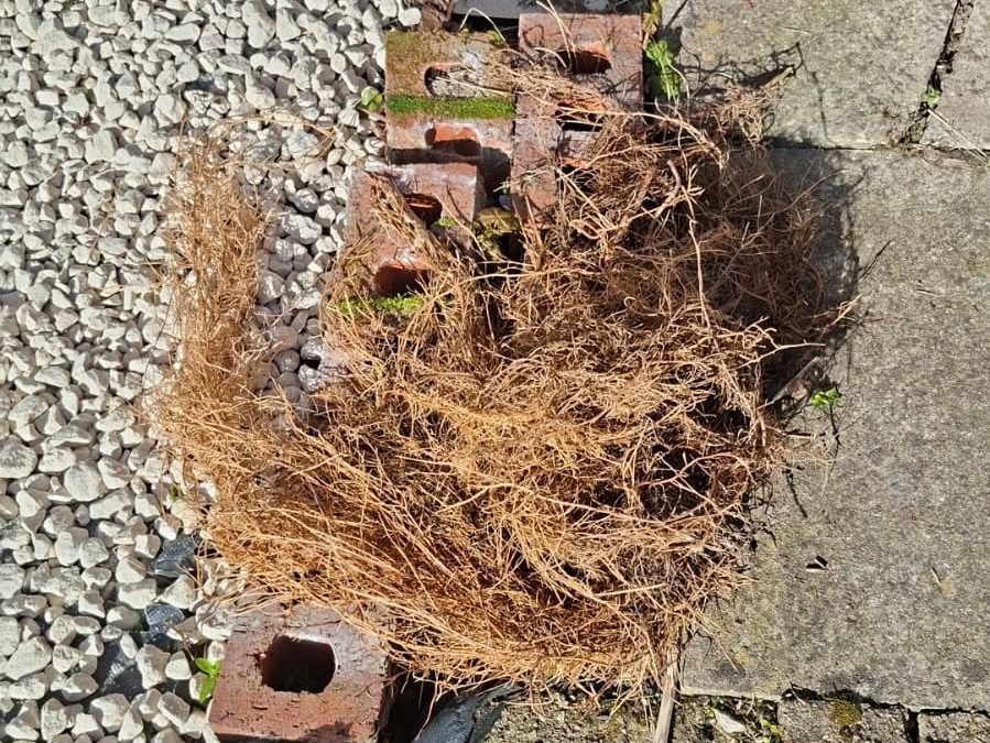 Unblock My Drains Preston