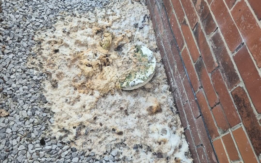 Clogged Drain Preston