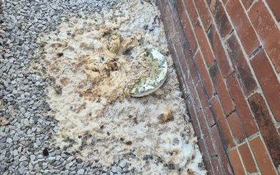 Clogged Drain Preston