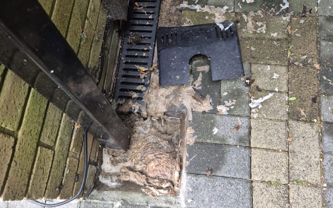 Drain Engineer Preston