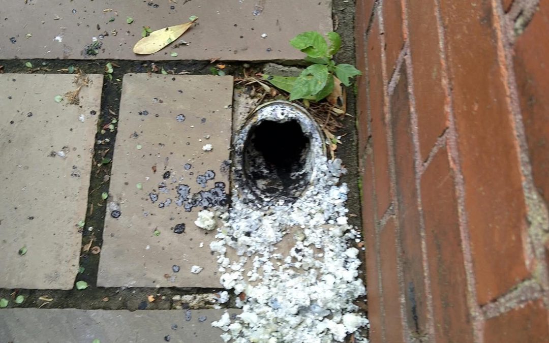 Blocked Drainage Preston